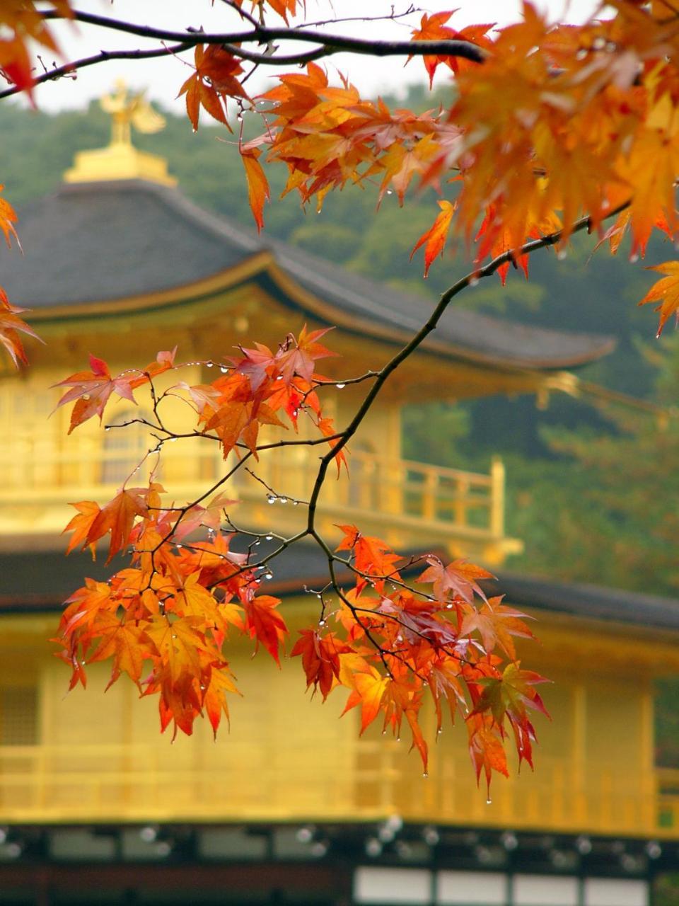 Ben's Guesthouse Kyoto Eksteriør billede